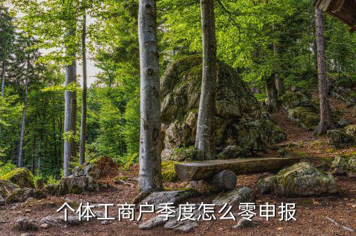 個體戶地稅如何零申報，個體工商戶地稅零申報怎樣報