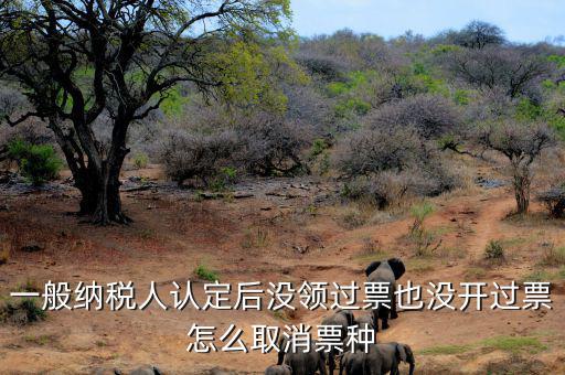 如何取消發(fā)票票種核定，一般納稅人認定后沒領過票也沒開過票怎么取消票種