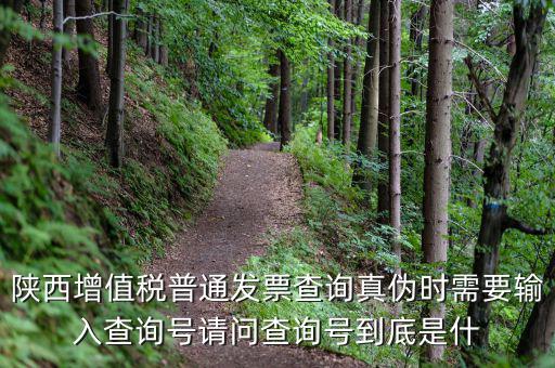 陜西省普通發(fā)票如何查詢系統(tǒng)，陜西國稅發(fā)票查詢號是做什么的