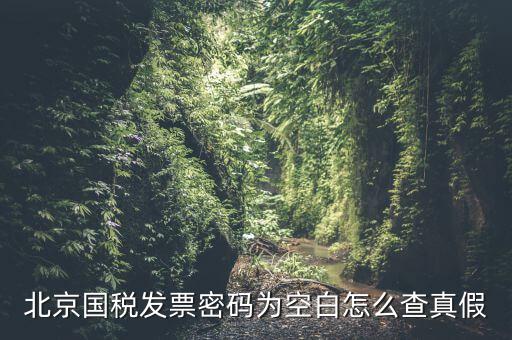 北京國(guó)稅發(fā)票真?zhèn)稳绾尾樵?，北京?guó)稅發(fā)票密碼為空白怎么查真假