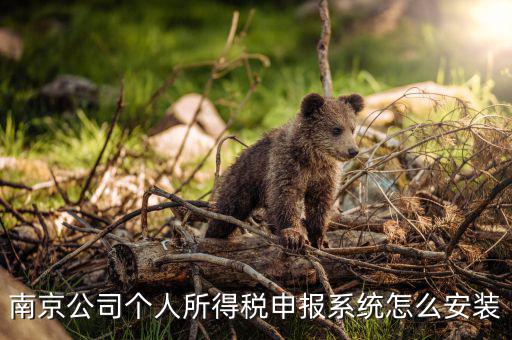 如何安裝金稅三期個稅安裝包，金稅三期在哪里下載