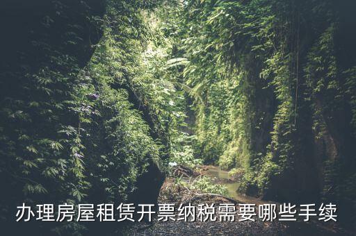 租房如何開增值稅專票，房屋租賃可以開增值稅專用發(fā)票嗎