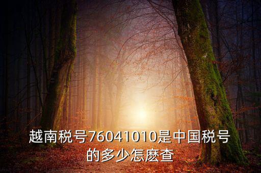 中國如何查個人稅號，越南稅號76041010是中國稅號的多少怎麼查