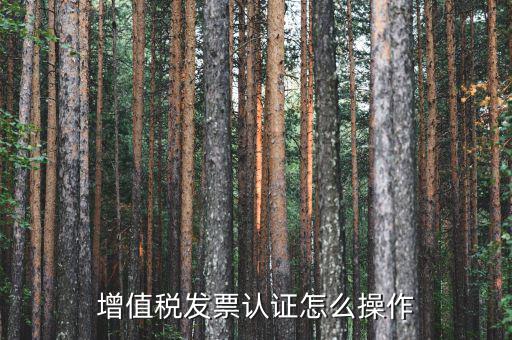 如何認(rèn)證增值稅進(jìn)項(xiàng)稅，進(jìn)項(xiàng)稅怎么認(rèn)證
