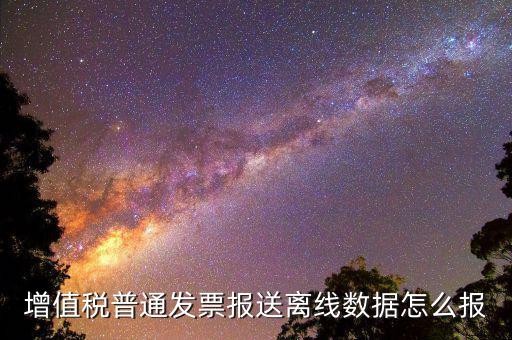 如何報(bào)送發(fā)票數(shù)據(jù)，河北國(guó)稅普通發(fā)票怎么報(bào)送