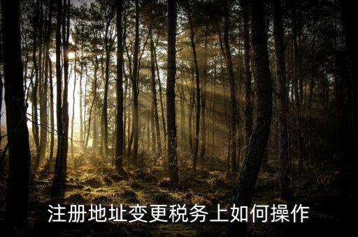稅務(wù)官網(wǎng)地址如何變更，注冊(cè)地址變更稅務(wù)上如何操作