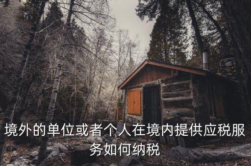 境外機(jī)構(gòu)如何繳納增值稅，來(lái)源于境外收入怎么交增值稅