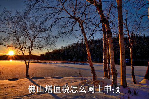 佛山地稅如何網(wǎng)上申報，佛山增值稅怎么網(wǎng)上申報