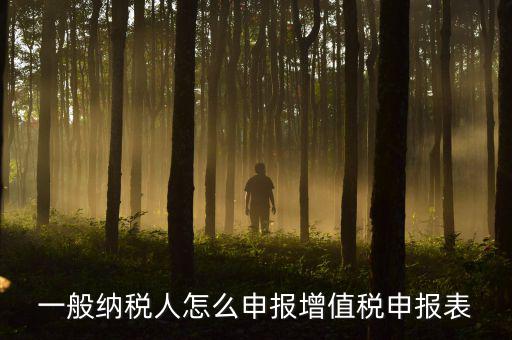 增值一般納稅人國(guó)稅如何申報(bào)，一般納稅人怎么申報(bào)增值稅申報(bào)表