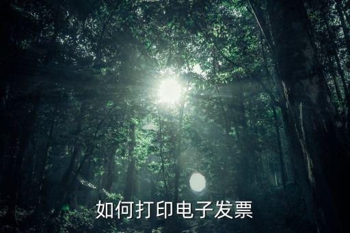 如何打印電子稅務(wù)局的電子發(fā)票，電子發(fā)票怎樣打印