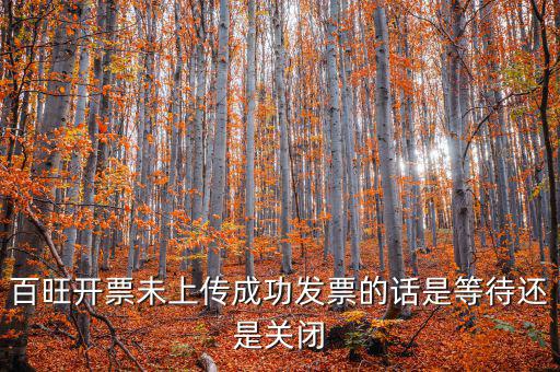 百旺未上傳發(fā)票如何上傳，百旺開票軟件怎么查詢發(fā)票是否已上傳