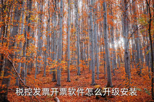 開票系統(tǒng)如何升級(jí)成品油軟件，稅率調(diào)整開票軟件如何升級(jí)