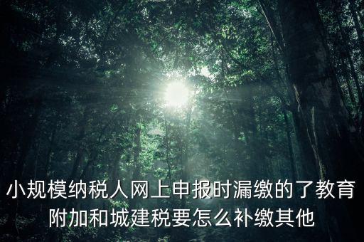 過了征期如何補(bǔ)交城建稅，請(qǐng)問城建稅忘記交怎么辦