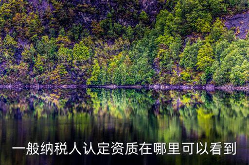 如何查看稅務(wù)資質(zhì)，一般納稅人認(rèn)定資質(zhì)在哪里可以看到