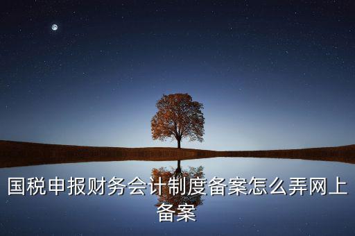 電子稅務(wù)局如何會計(jì)制度備案，2017年電子稅務(wù)局財(cái)務(wù)報(bào)表備案是不是可以馬上填寫