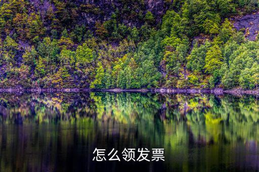 如何在網(wǎng)上領(lǐng)發(fā)票，怎樣領(lǐng)購發(fā)票