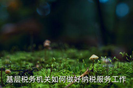 基層稅務(wù)機關(guān)如何做好納稅服務(wù)工作
