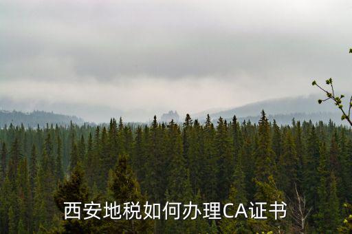 如何申請(qǐng)地稅ca證書，西安地稅如何辦理CA證書