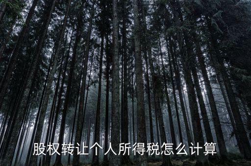 如何計(jì)算股權(quán)轉(zhuǎn)讓所得稅，股權(quán)轉(zhuǎn)讓的個(gè)人所得稅怎么計(jì)算