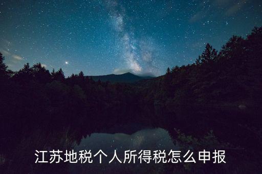 如何申報年稅江蘇，江蘇地稅個人所得稅怎么申報