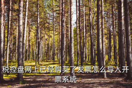 如何進(jìn)入開票系統(tǒng)，怎么進(jìn)入國(guó)家稅務(wù)局發(fā)票填開系統(tǒng)