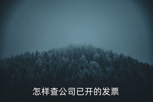 如何查企業(yè)的開票資料，如何查詢其他企業(yè)開具給本企業(yè)的發(fā)票