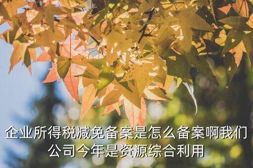 如何打印稅收優(yōu)惠備案通知書，減免稅備案登記告知書在哪里打印的