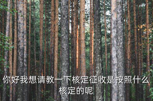 核定征收認定如何認定，如何核定征收