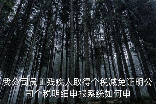 我公司員工殘疾人取得個稅減免證明公司個稅明細申報系統如何申