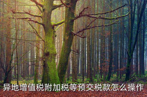 跨區(qū)稅源登記 如何繳納附加稅，異地增值稅附加稅等預(yù)交稅款怎么操作