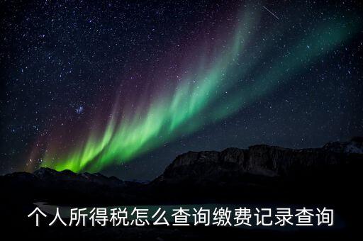 金稅三期個人所得稅如何查詢，個人所得稅怎么查詢繳費記錄查詢