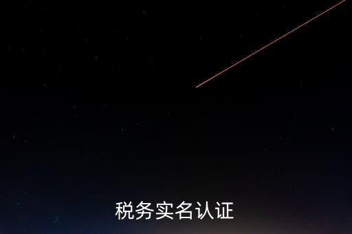 湖北省公司辦稅人員如何實(shí)名，稅務(wù)實(shí)名制信息采集