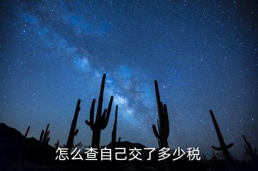 如何查詢交稅，如何查詢企業(yè)繳稅情況