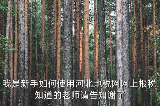 河北省地稅網(wǎng)上申報(bào)如何操作，地稅網(wǎng)上申報(bào)如何操作