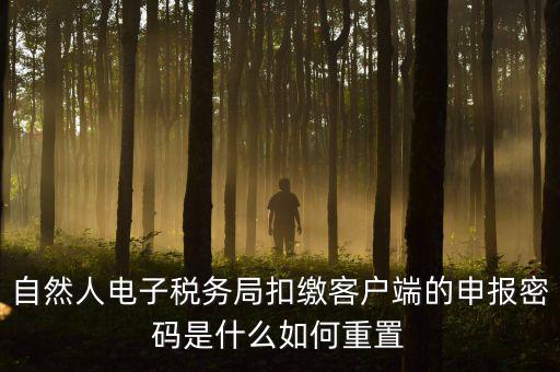 自然人納稅申報(bào)密碼如何找回，電子稅務(wù)局密碼忘記了怎么找回
