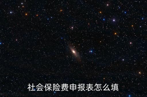 稅務(wù)系統(tǒng)社保費申報表如何填報，社會保險費申報表怎么填