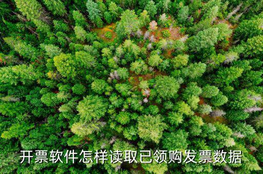 發(fā)票數(shù)據(jù)如何采集，開票軟件怎樣讀取已領(lǐng)購發(fā)票數(shù)據(jù)