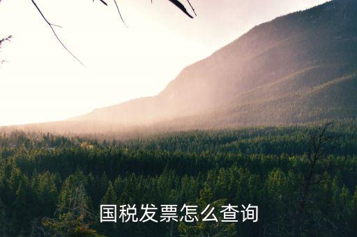 河北省的發(fā)票如何查詢，我的發(fā)票在河北地稅網(wǎng)上可以查到信息都沒(méi)有問(wèn)題但是河北地稅