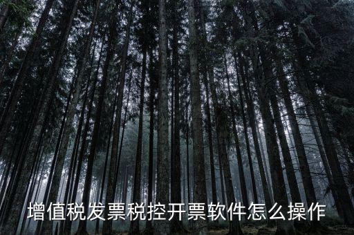 百望開(kāi)票軟件如何開(kāi)票，百望開(kāi)票系統(tǒng)發(fā)票抬頭有符號(hào)怎么打