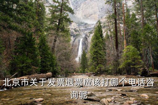 北京市關(guān)于發(fā)票退票應(yīng)該打哪個(gè)電話(huà)咨詢(xún)呢