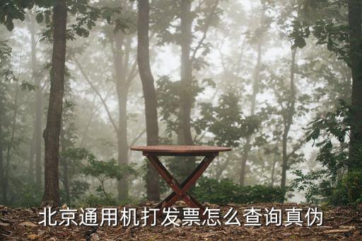 如何查詢北京普通發(fā)票真?zhèn)尾樵?，北京增值稅普通發(fā)票可以網(wǎng)上查詢真?zhèn)螁?/></a></span><span id=