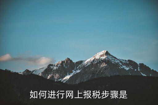 如何推行網(wǎng)上辦稅，如何辦理網(wǎng)上納稅