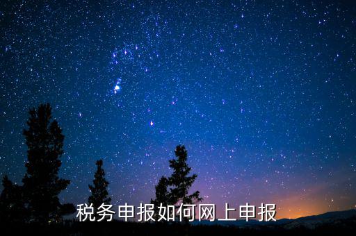 稅務申報如何網上申報