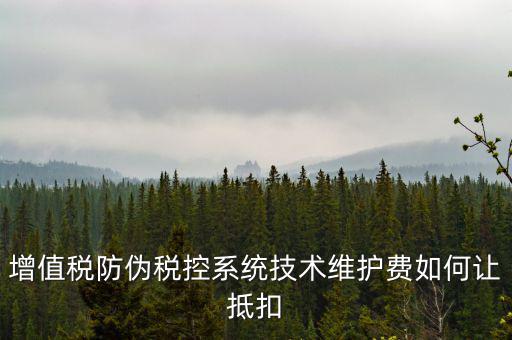 稅控維護(hù)費(fèi)如何抵稅，稅控維護(hù)費(fèi)抵扣問題