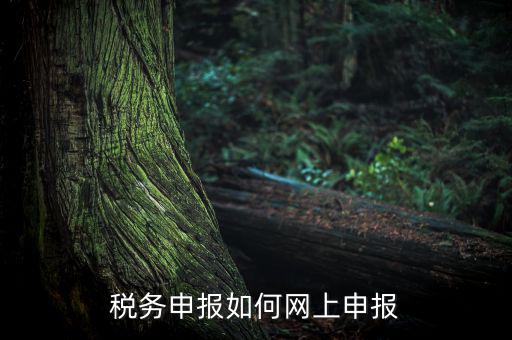 稅務申報如何網(wǎng)上申報