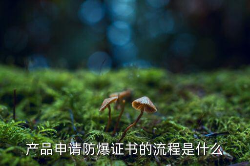 如何辦理防爆用地，產(chǎn)品辦理防爆認(rèn)證流程有哪些