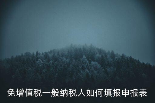 免稅如何填寫(xiě)申報(bào)表，免稅企業(yè)如何填報(bào)增值稅納稅申報(bào)表