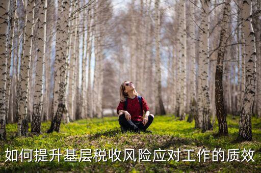 如何提升基層稅收風險應對工作的質效