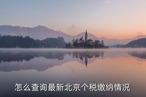北京市 欠稅人員如何查詢(xún)，稅務(wù)欠稅信息如何查詢(xún)