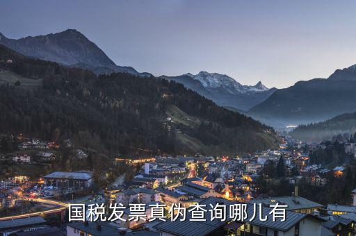 如何在國稅局官網(wǎng)查詢發(fā)票真假，國家稅務(wù)官網(wǎng)怎么查詢增值稅發(fā)票真?zhèn)?/></a></span><span id=